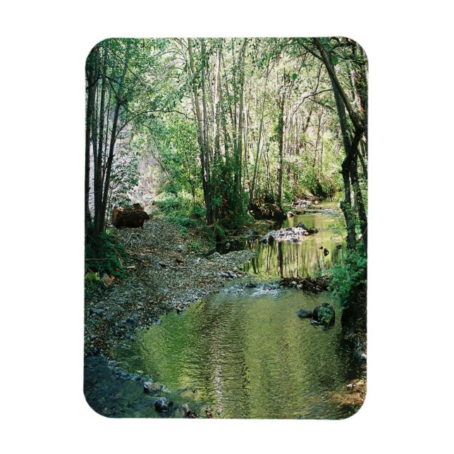 Big Creek.. Magnet (Vertikal)