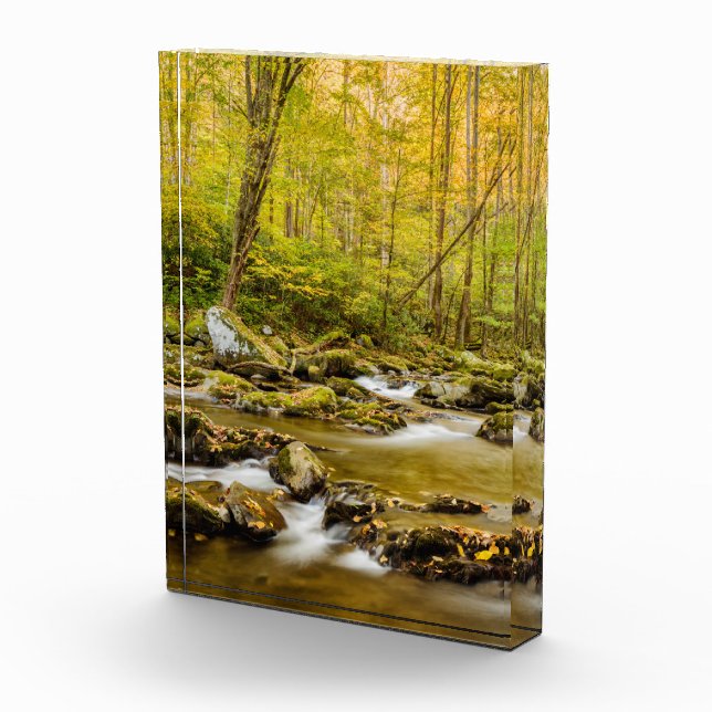 Big Creek | North Carolina Fotoblock (Rechts)