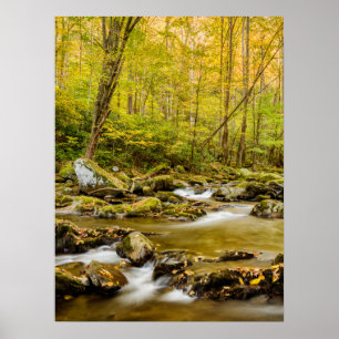 Big Creek   North Carolina Poster