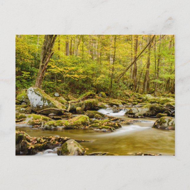 Big Creek | North Carolina Postkarte (Vorderseite)