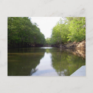 Big Cypress Bayou Postcard Postkarte