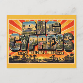 Big Cypress National Preserve Florida Sumpf Postkarte