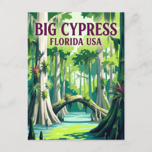 Big Cypress National Preserve USA Postkarte