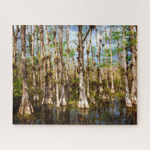 Big-Cypress-Reserve Puzzle