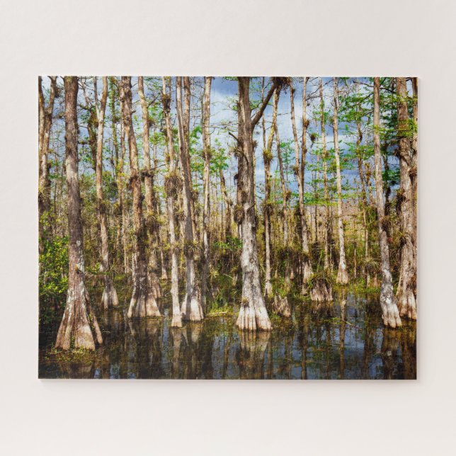 Big-Cypress-Reserve Puzzle (Horizontal)
