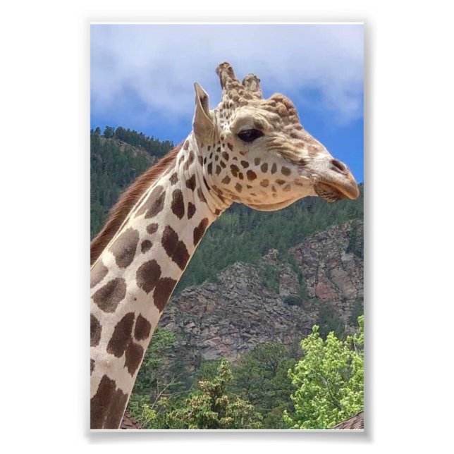 Big Daddy 4X6 Print #1 Fotodruck (Vorne)