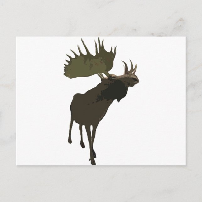 Big Daddy Moose Postkarte (Vorderseite)