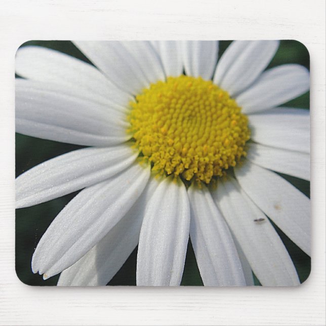 Big Daisy Mousepad (Vorne)