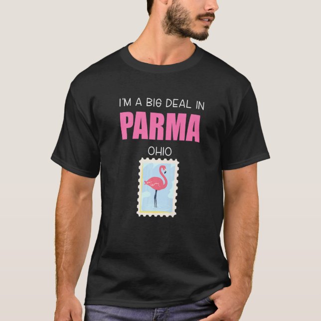 Big Deal Sarcastic Pink Flamingo Parma Ohio T-Shirt (Vorderseite)