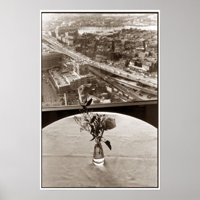 Big-Dig-Rose Poster (Vorne)