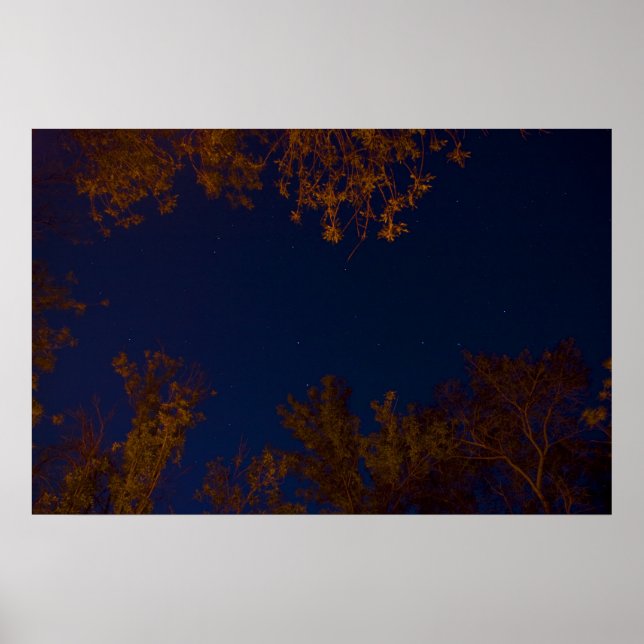 Big Dipper Poster (Vorne)