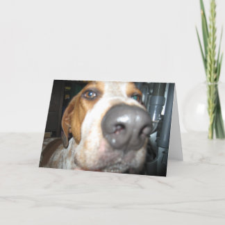 Big Dog Nose Notecard Karte