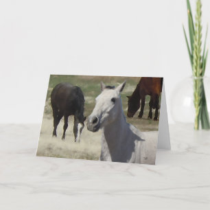 Big Eyes Hübsch Little Gray Pony Herd Blank Karte