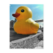 Big Famous Rubber Duck in Erie PA