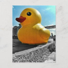 Big Famous Rubber Duck in Erie PA Postkarte