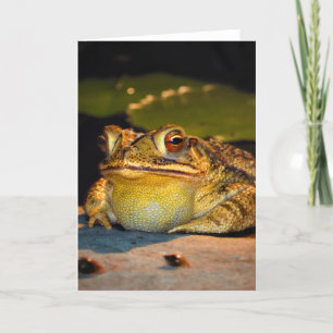 Big Fat Toad Karte