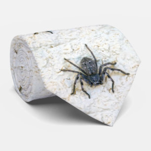 Big Female Huntsman Spider, Neck Tie Krawatte