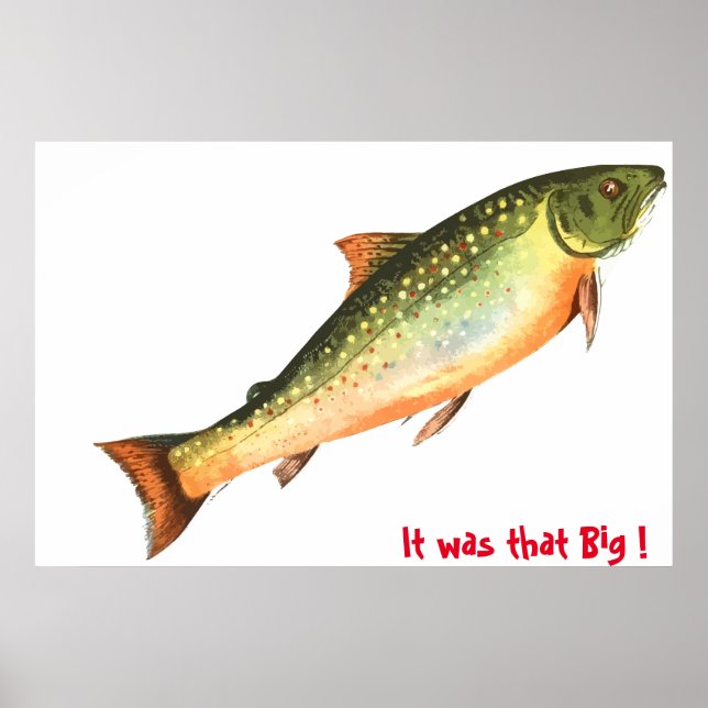 Big Fish Poster (Vorne)