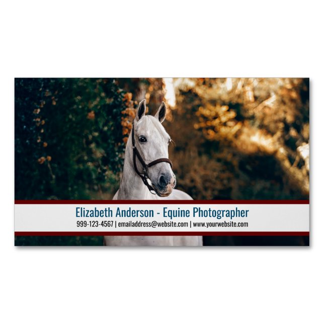 Big Foto Equine Fotograf Business Card Magnet (Vorderseite)