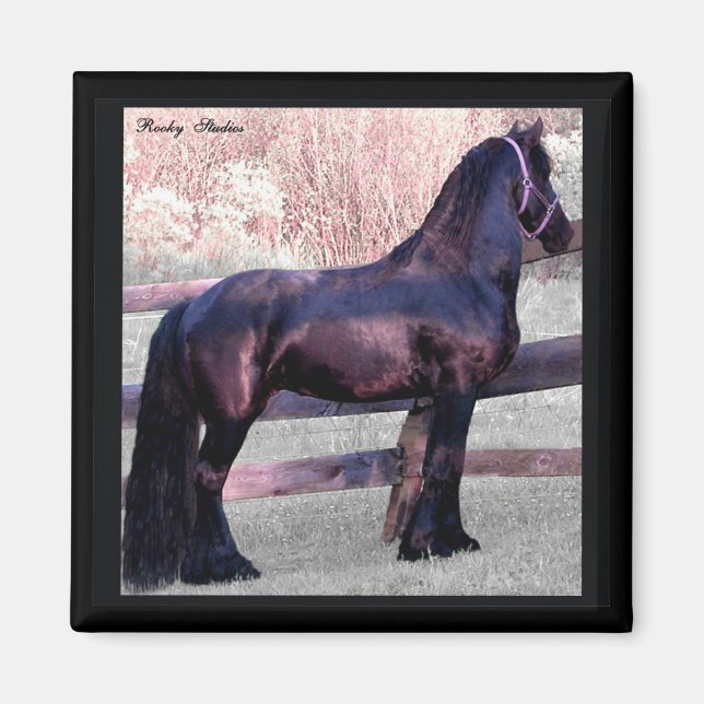 Big Friesian Horse Magnet (Vorne)