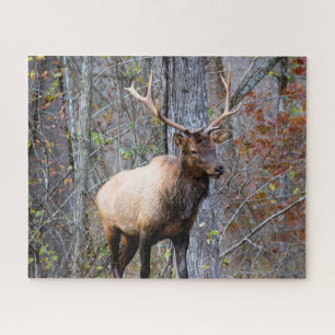 Big Game Hunter - Bull Elk - 16 x 20 Zoll Puzzle