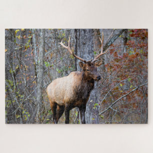 Big Game Hunter - Bull Elk - 20 x 30 Zoll Puzzle