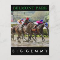 Big Gemmy - Jose Lezcano NY Bred
