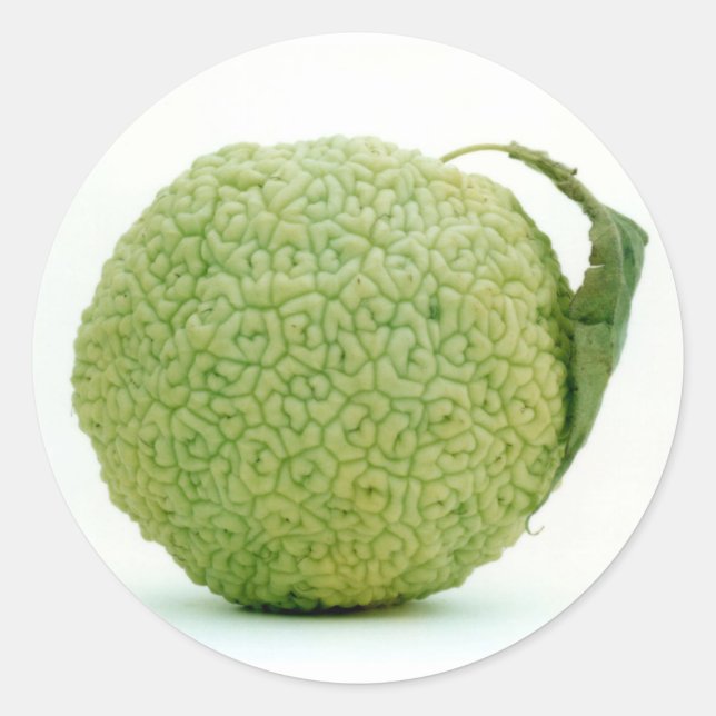 Big Green Hedgeaple Runder Aufkleber (Vorderseite)
