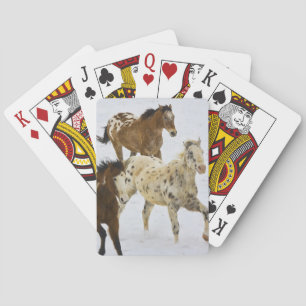 Big Horn Mountains, Pferde laufen im Schnee Spielkarten