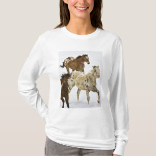 Big Horn Mountains, Pferde laufen im Schnee T-Shirt