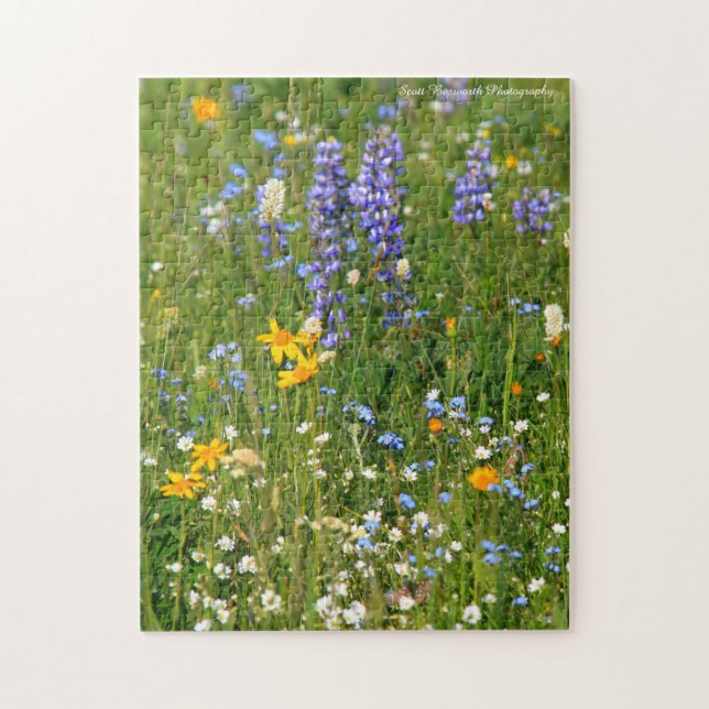 Big Horn Mtn Wild Blume in WY - Jigsaw Puzzle (Vertikal)