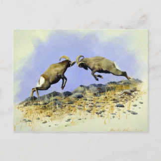 Big Horn Postkarte