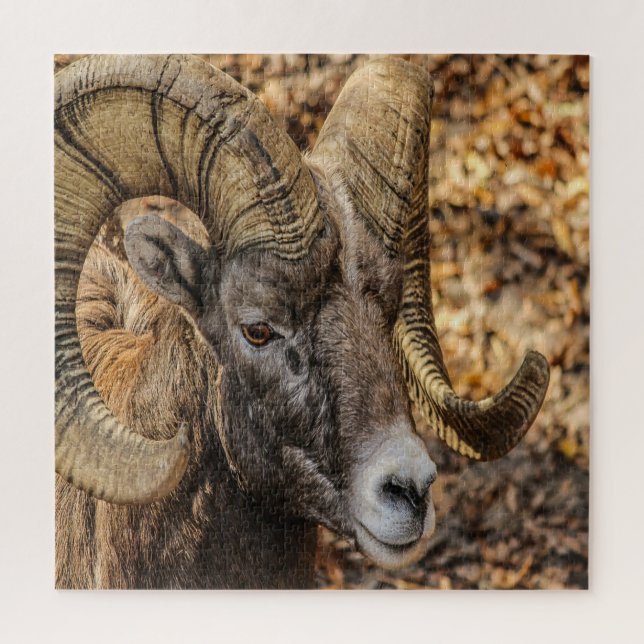 Big Horn Ram Puzzle (Vertikal)
