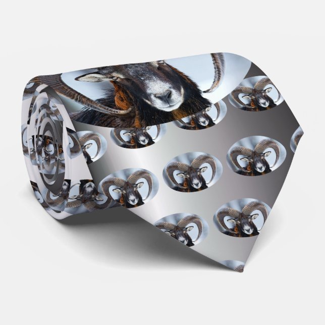 Big Horn Ram Sheep - Mouflon Krawatte (Gerollt)