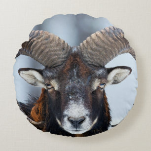Big Horn Ram Sheep - Mouflon Rundes Kissen