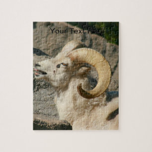 Big Horn Sheep Laghing Puzzle