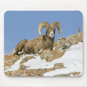 Big Horn Sheep Mousepad