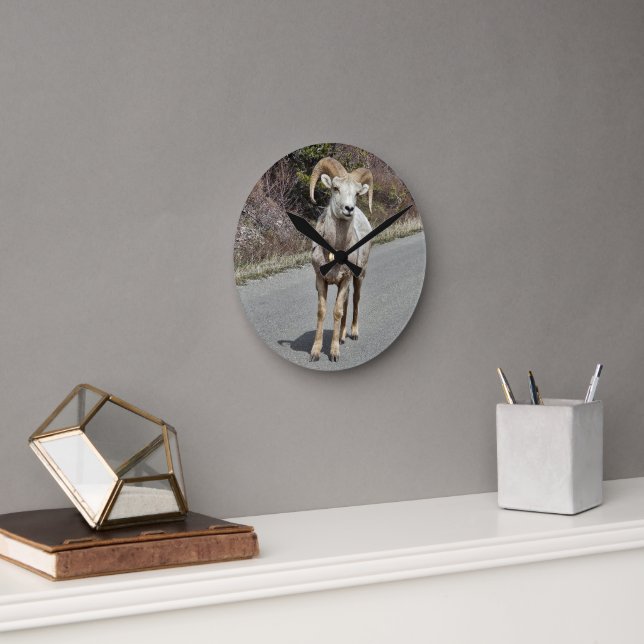 Big Horn Sheep Runde Wanduhr (Büro)