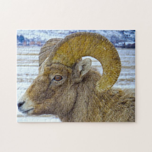 Big Horned Sheep Montana. Puzzle (Horizontal)