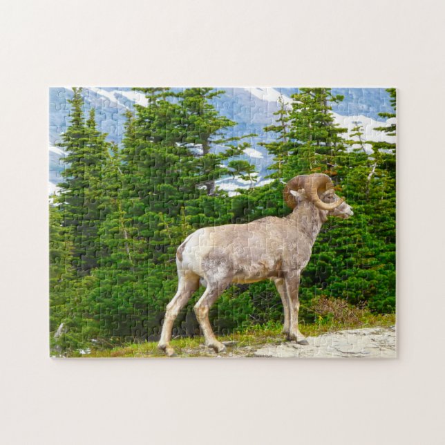 Big Horned Sheep Montana. Puzzle (Horizontal)