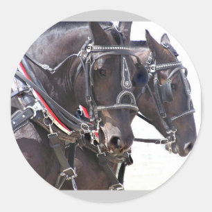 Big Horses Stickers