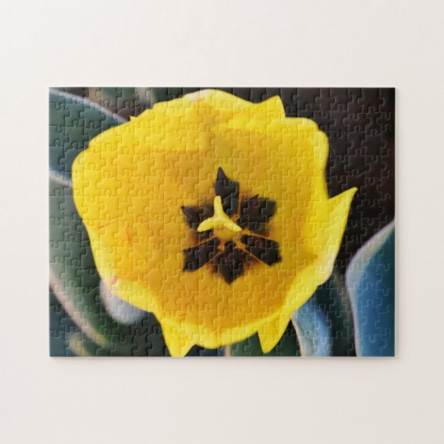 Big Hübsch Yellow Tulip Blume Puzzle (Horizontal)