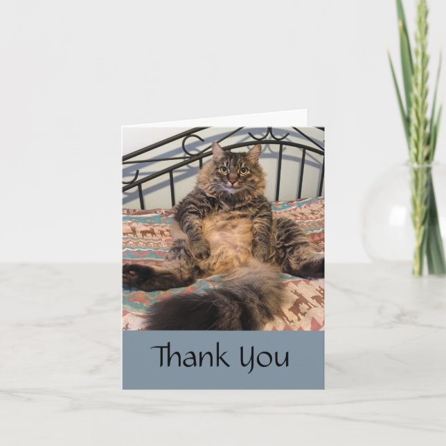 Big Huggable Cat Vielen Dank Note Card Dankeskarte (Vorderseite)