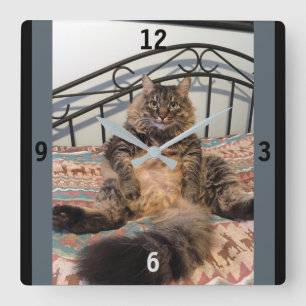 Big Huggable Cat Wall Clock Quadratische Wanduhr