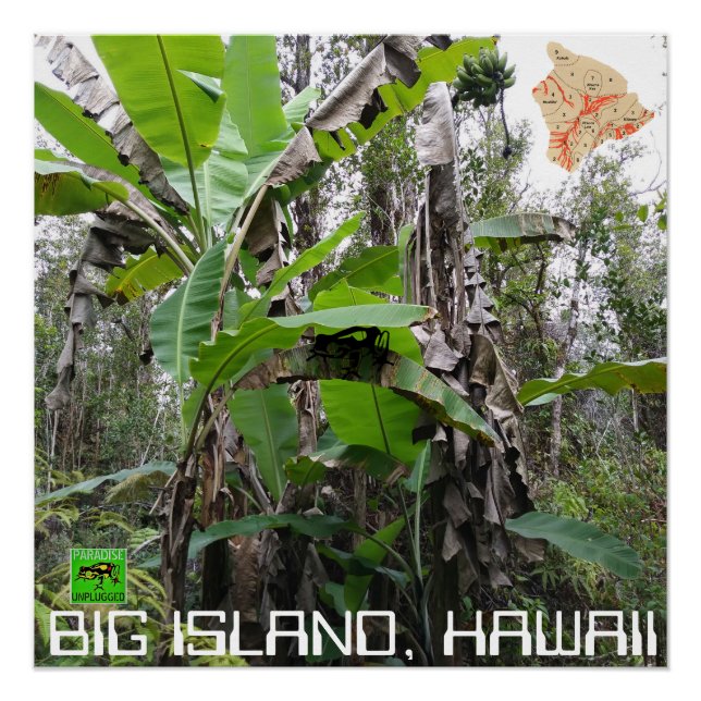 BIG ISLAND HAWAII POSTER (Vorderseite)