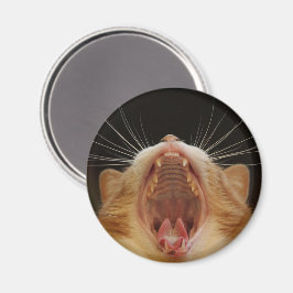 Big Kitty Yawn, Sleepy Kitty Magnet