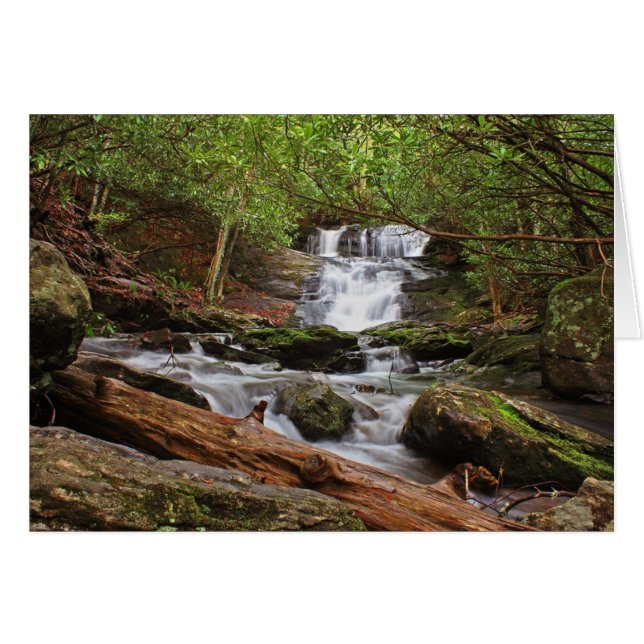 Big Laurel Falls (Vorderseite (Horizontal))