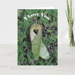 Big Leaf Maple Herz - Framework Art Card Karte