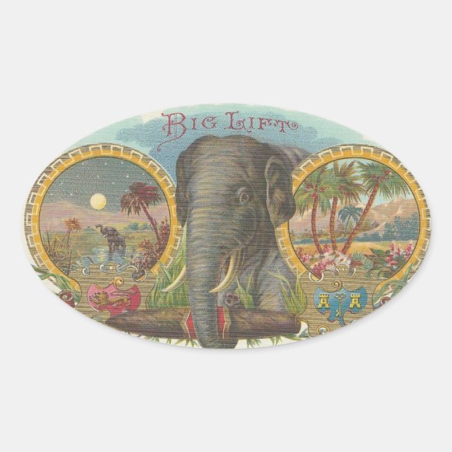 Big Lift Ovaler Aufkleber (Vorderseite)