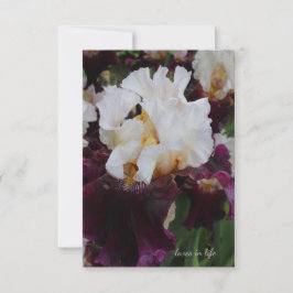 Big Lila & White Iris Mitteilungskarte